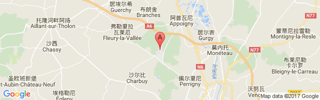 Auxerre-Branches Airport图片