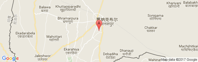 Janakpur Airport图片