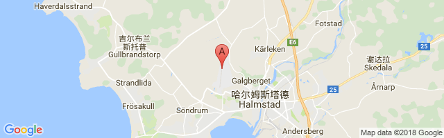 Halmstad Airport图片