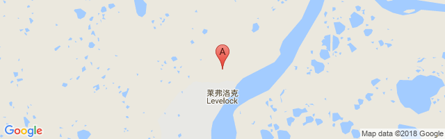 Levelock Airport图片