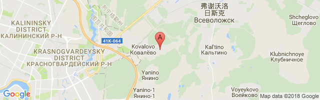 Rzhevka Airport图片