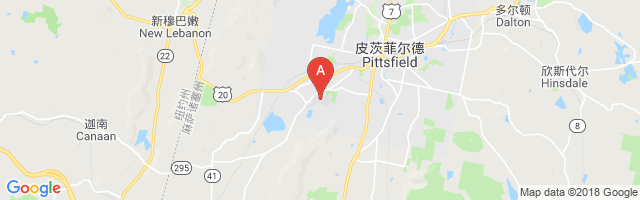 Pittsfield Municipal Airport图片