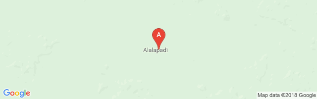 Alalapadu Airstrip Airport图片