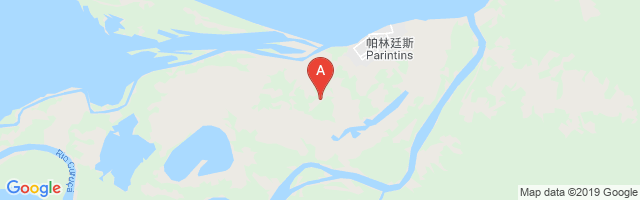 Parintins Airport图片