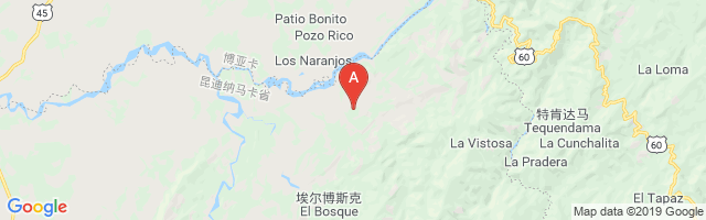 Puerto Boyaca Airport图片