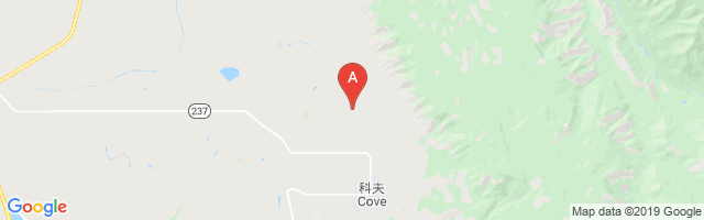 Cove Side Ranch Port Airport图片