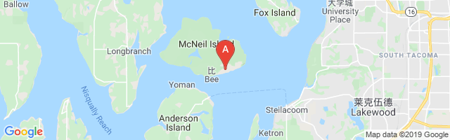 Mc Neil Island Emergency Pad Airport图片