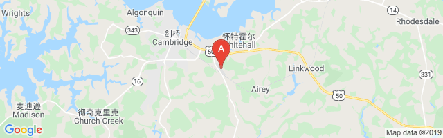 Cambridge Dorchester Airport图片