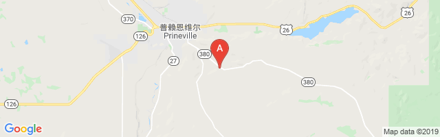 Tailwheel Airport图片