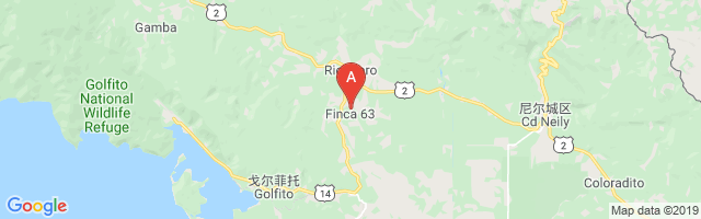 Finca 63 (Coto 63) Airport图片