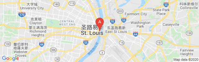 St Louis Downtown Airport图片