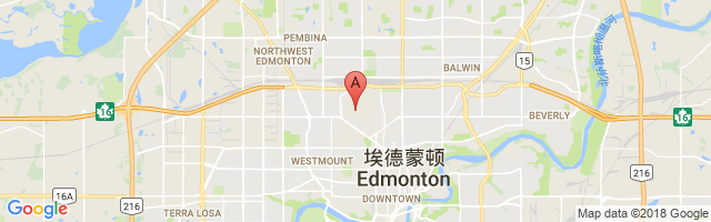 埃德蒙顿城市机场 Edmonton City Centre (Blatchford Field) Airport图片