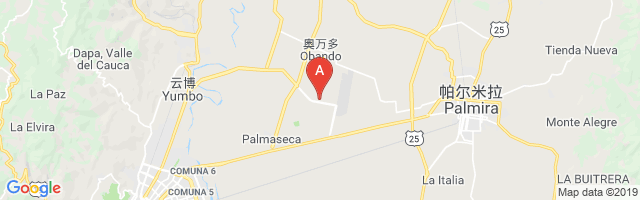 Isa Palmira Airport图片