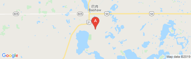 Bashaw Airport图片
