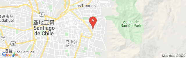Prefectura Aeropolicial de Carabineros Airport图片