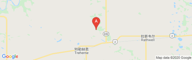 Treherne (South Norfolk Airpark) Airport图片