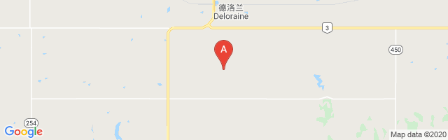 Deloraine Airport图片