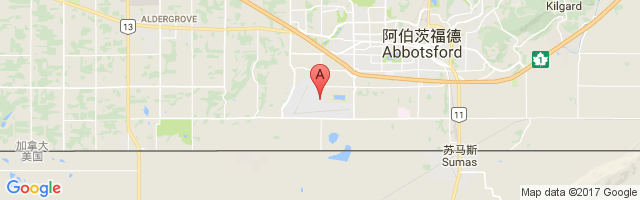 阿伯兹福德国际机场 Abbotsford Airport图片