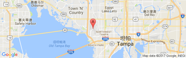 Tampa International Airport图片