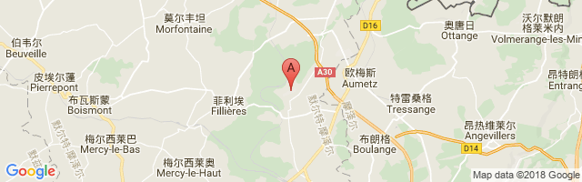 Villerupt Airport图片
