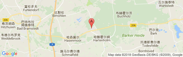 Hartenholm Airport图片