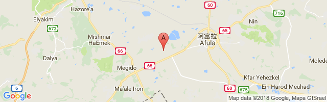 Megiddo Airport图片