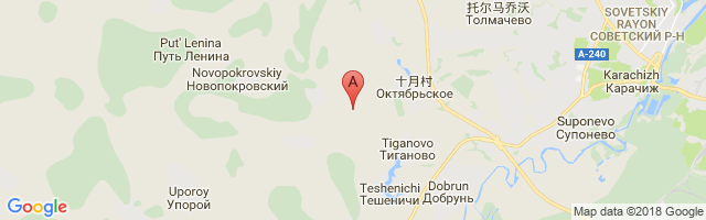Bryansk Airport图片