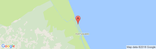 Aerotortuguero Airport图片
