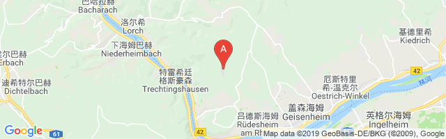 Eibinger Forstwiese Airfield Airport图片
