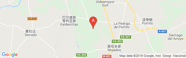 Mojados Airport图片