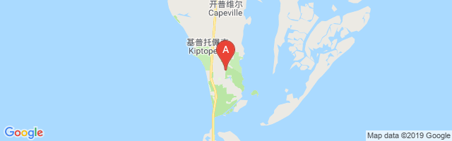 Bull Farm Airport图片
