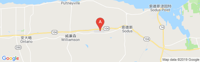 Williamson Sodus Airport图片