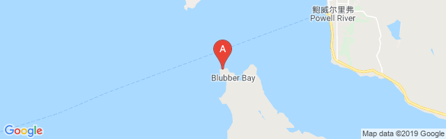 Blubber Bay Airport图片