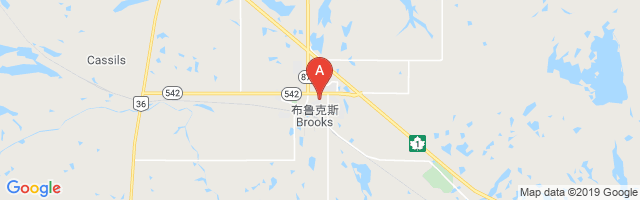 Brooks (Community Health Centre) Airport图片