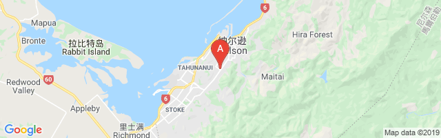 Nelson Hospital Airport图片