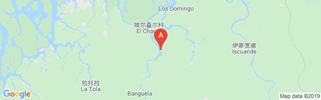 El Charco Airport图片