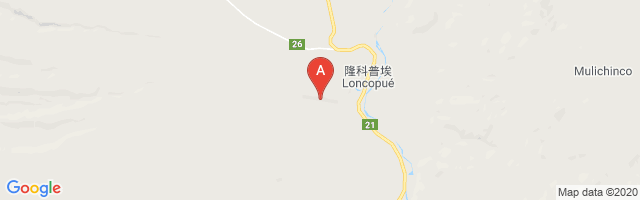 Loncopue Airport图片