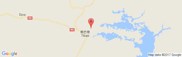 Tibati Airport图片