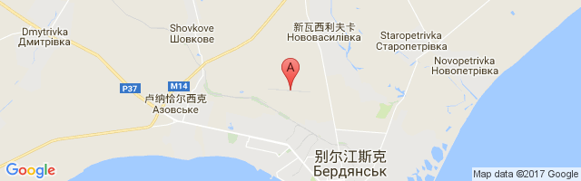 Berdyansk Airport图片