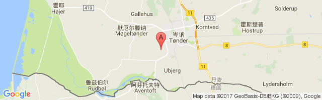 Tønder Airport图片