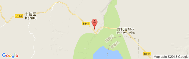 Lake Manyara Airport图片