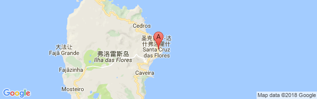 Flores Airport图片