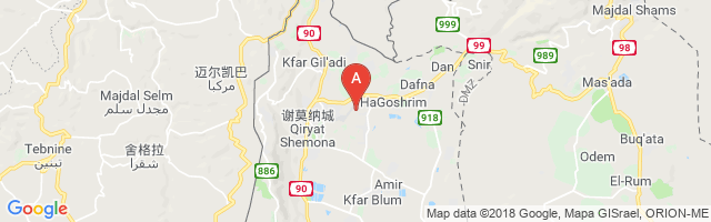 Kiryat Shmona Airport图片