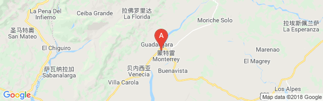 Monterrey Airport图片