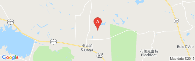 Lochridge Ranch Airport图片
