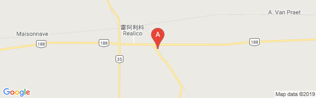 Realicó Airport图片
