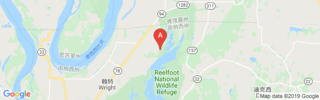 Reelfoot Lake Airport图片