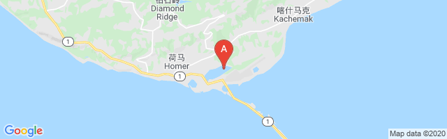 Homer-Beluga Lake Seaplane Base Airport图片