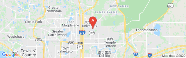James A Haley Veterans Hospital Airport图片